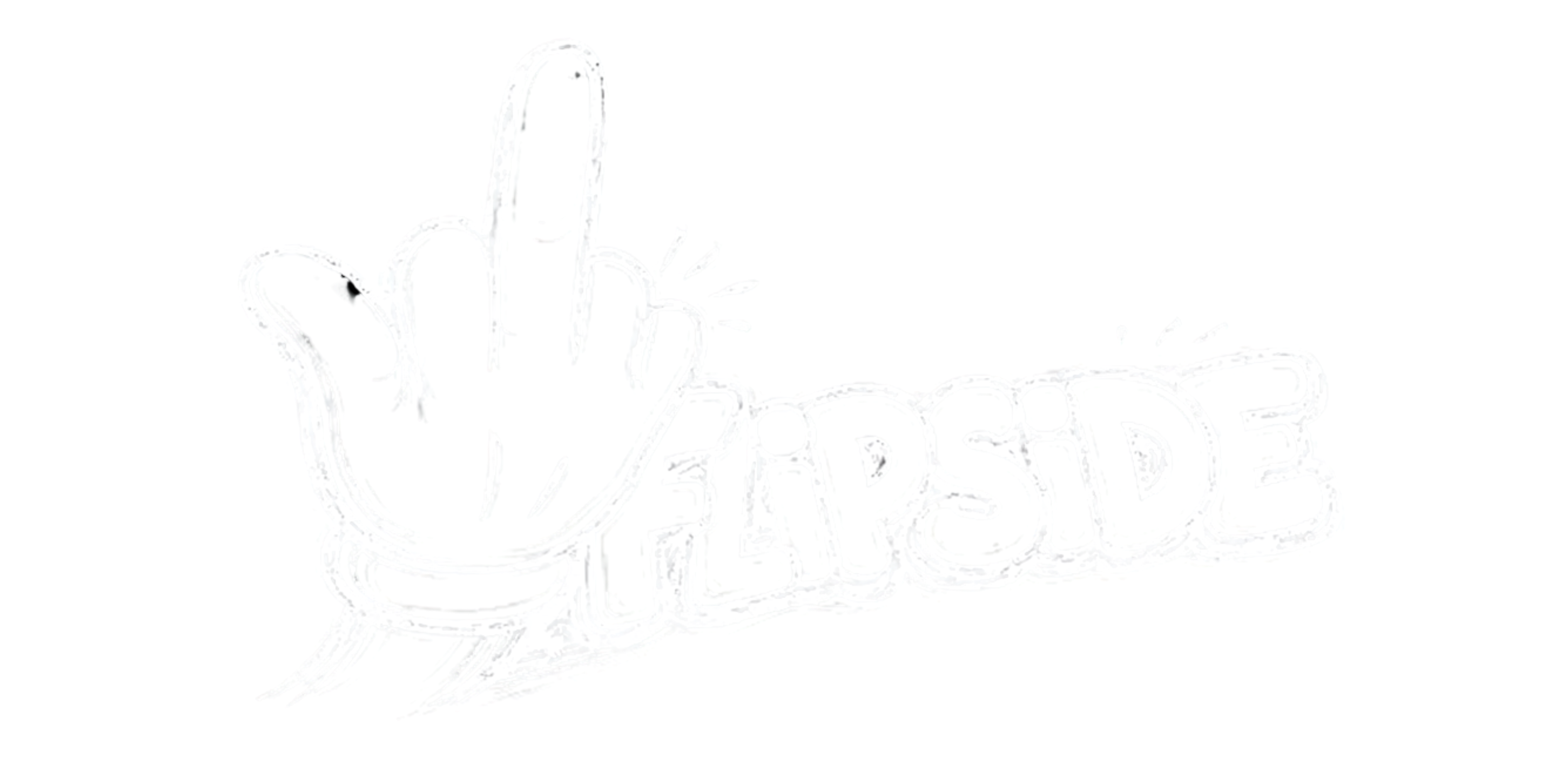 FLIPSIDE Logo